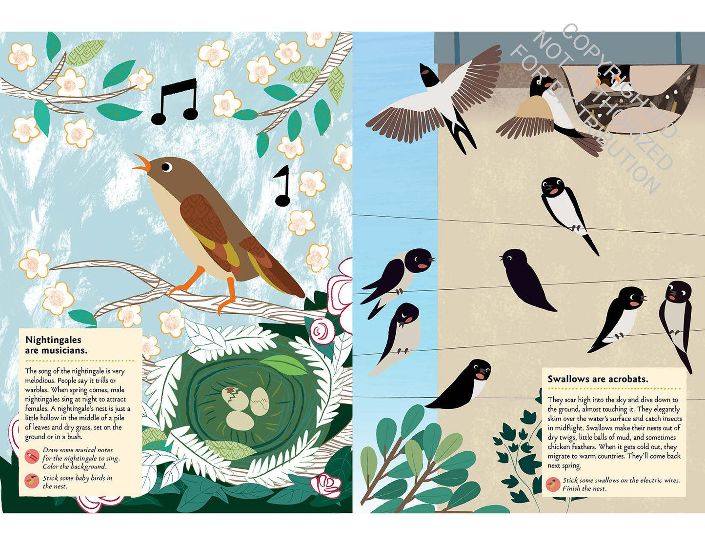 Bird of the World Sticker Book