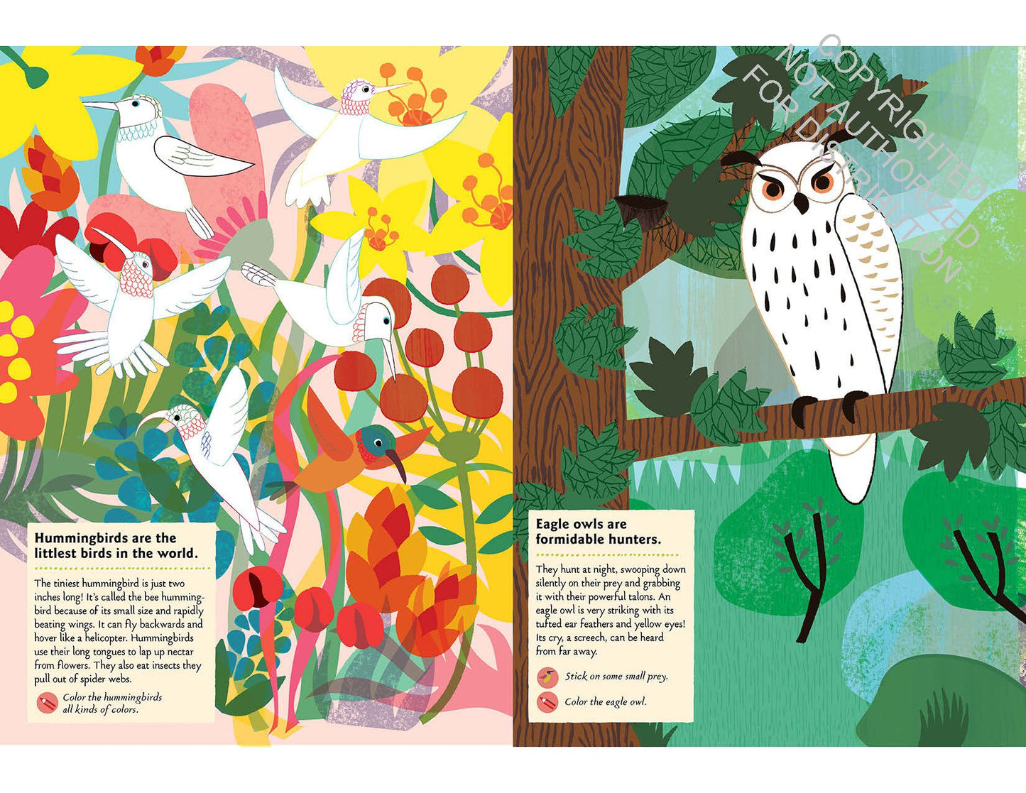 Bird of the World Sticker Book
