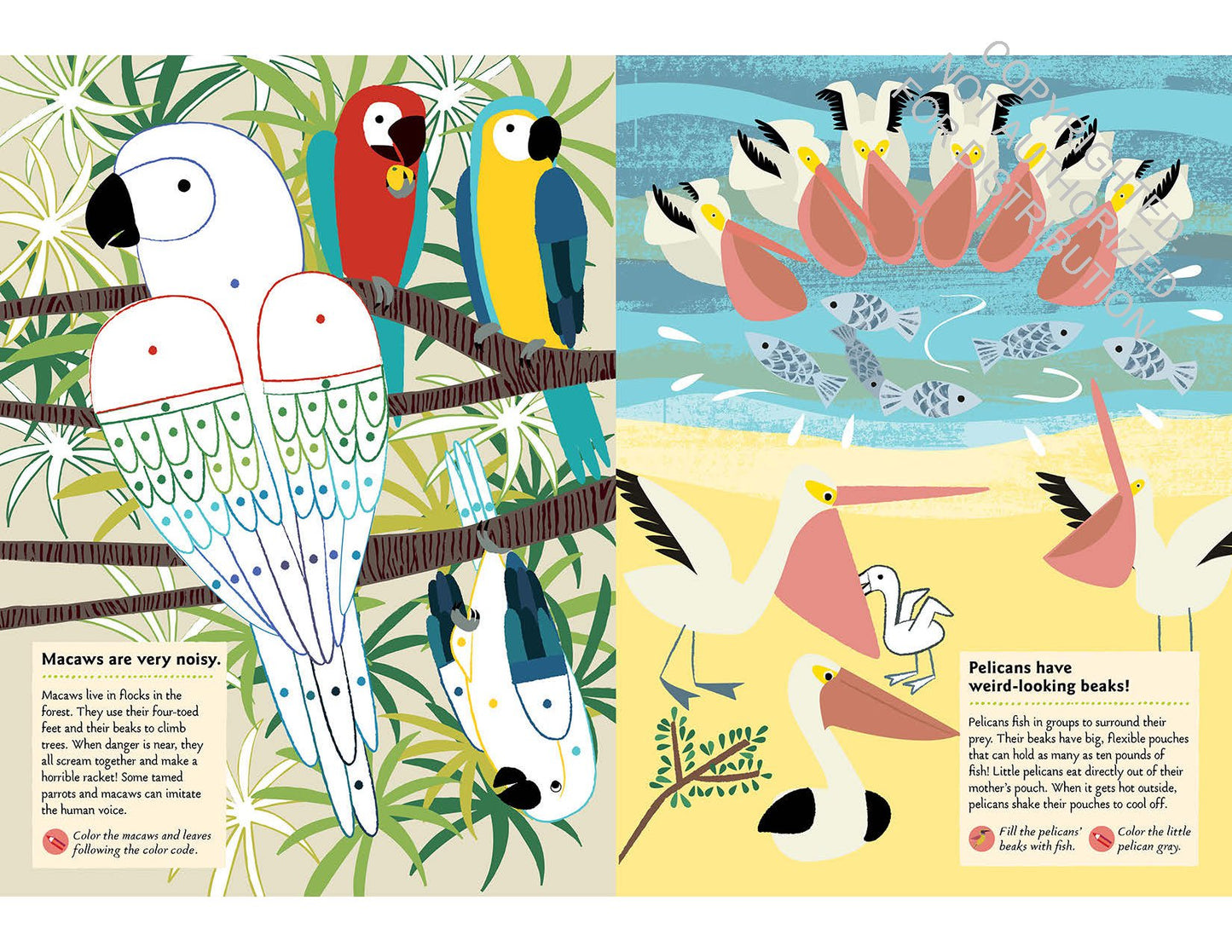 Bird of the World Sticker Book