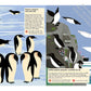 Bird of the World Sticker Book