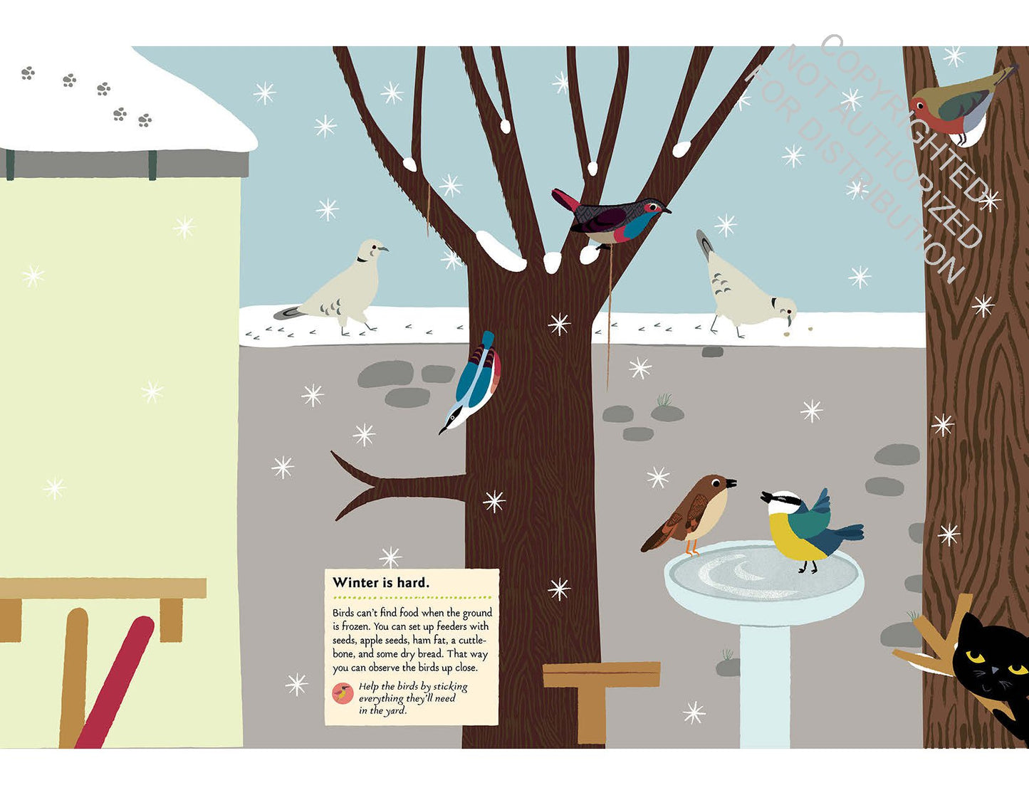 Bird of the World Sticker Book