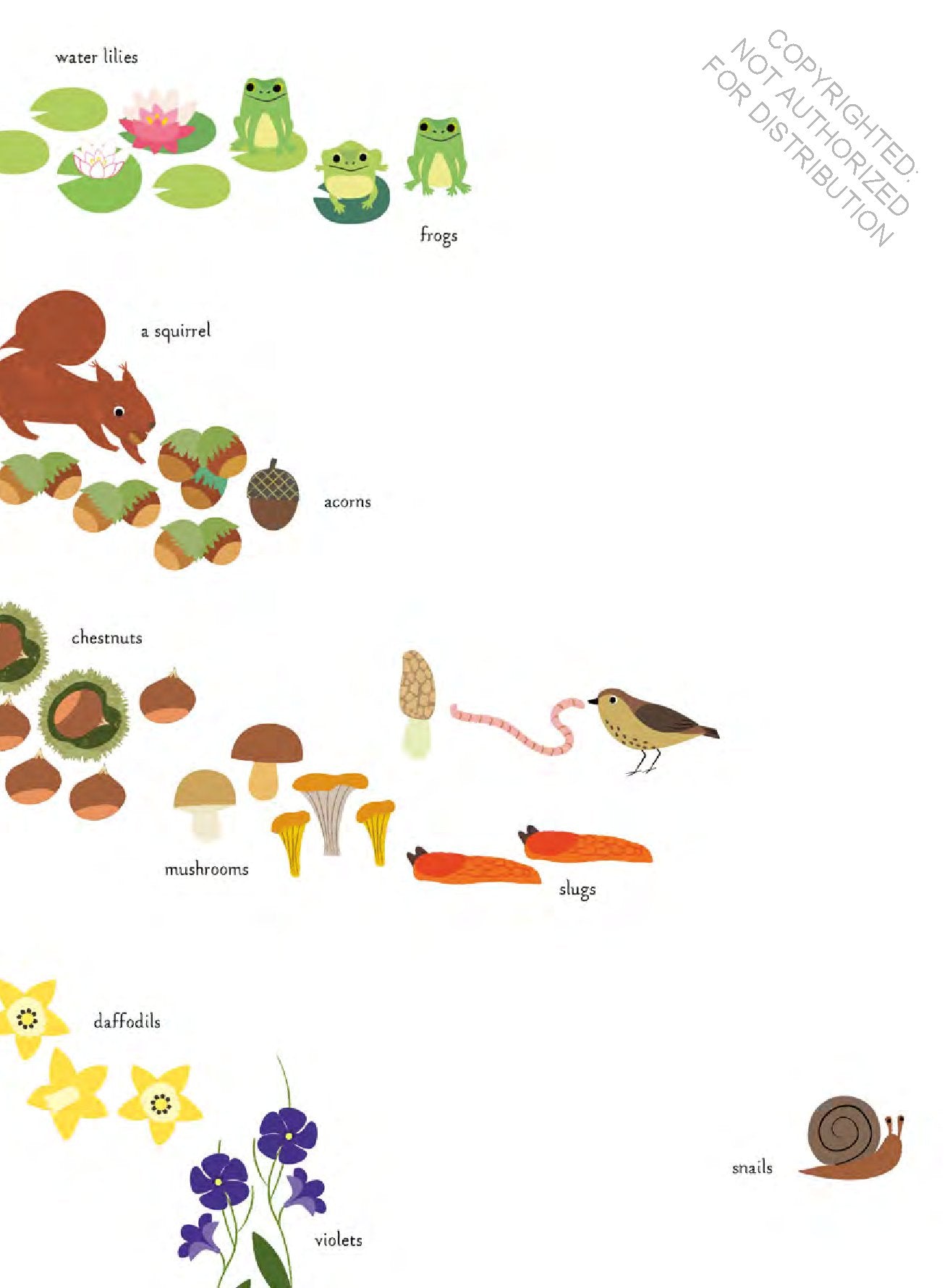 In the Forest: My Nature Sticker Book