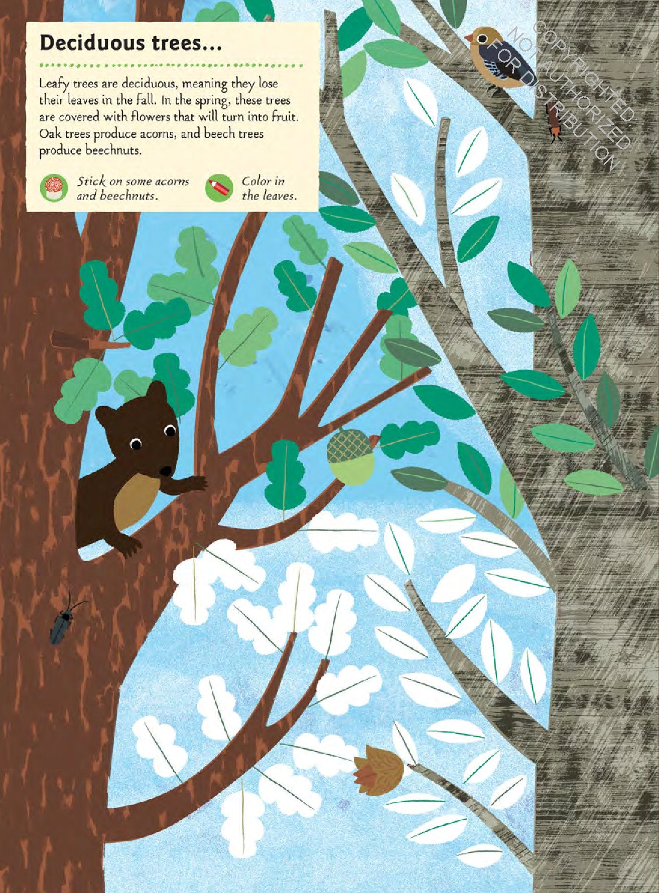 In the Forest: My Nature Sticker Book