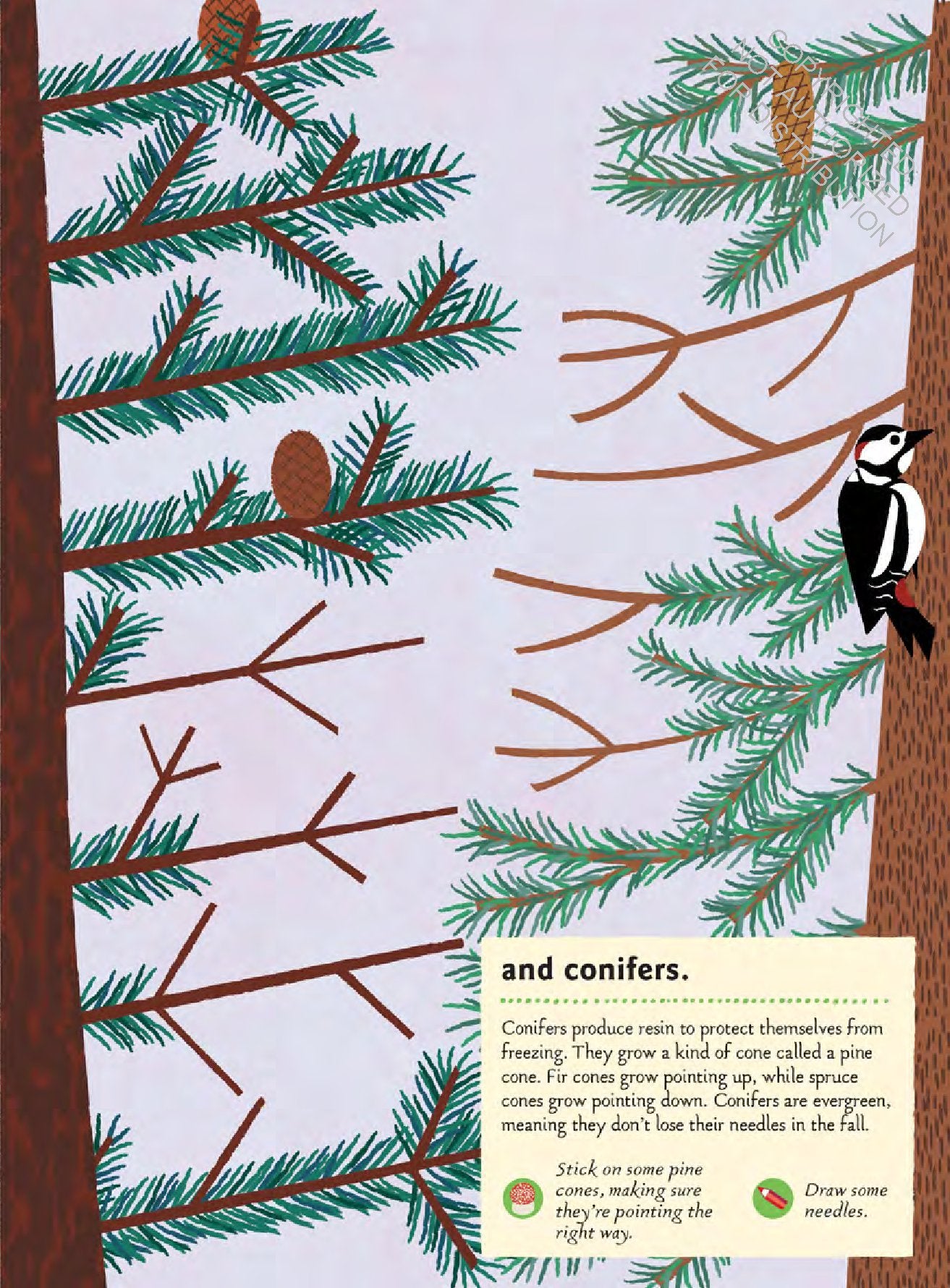 In the Forest: My Nature Sticker Book