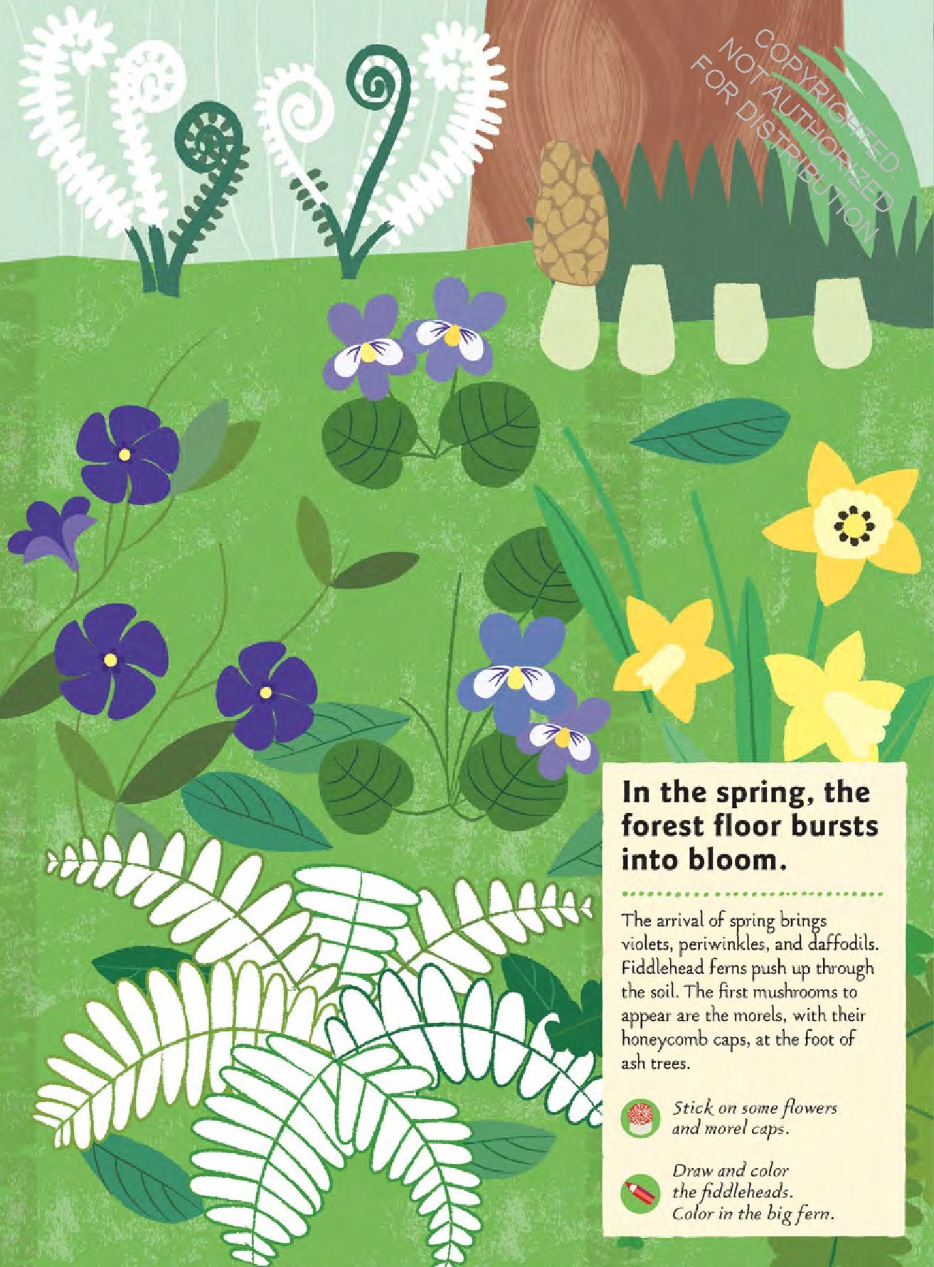 In the Forest: My Nature Sticker Book