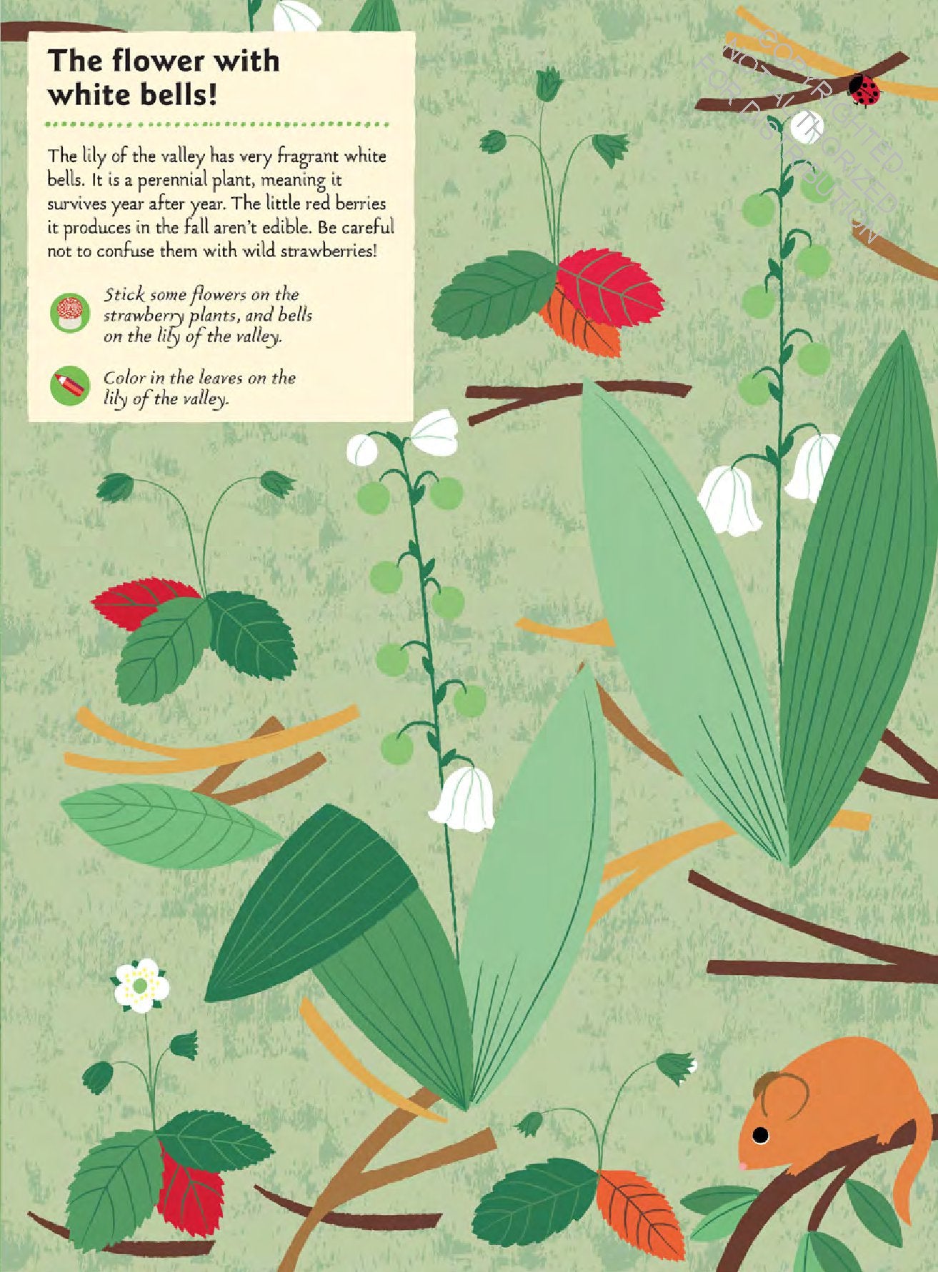 In the Forest: My Nature Sticker Book