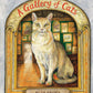 Gallery of Cats