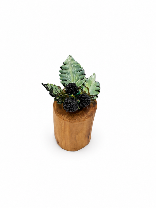 Blackberries with 3 leaves