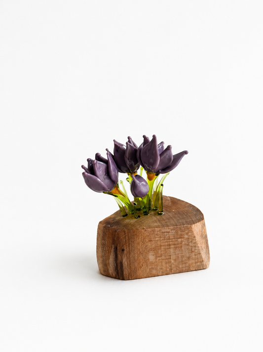 Triple Crocus Purple