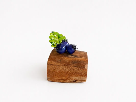Saskatoon Berry with 1 Leaf