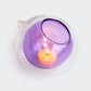 Double Bubble Terrarium