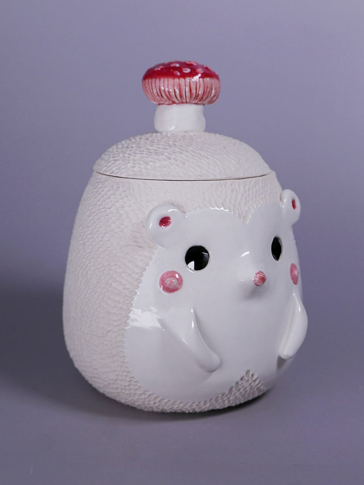 Hedgehog Jar with Mushroom handle - Medium