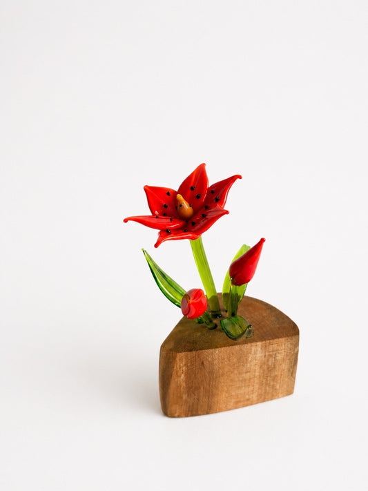 Single Lily