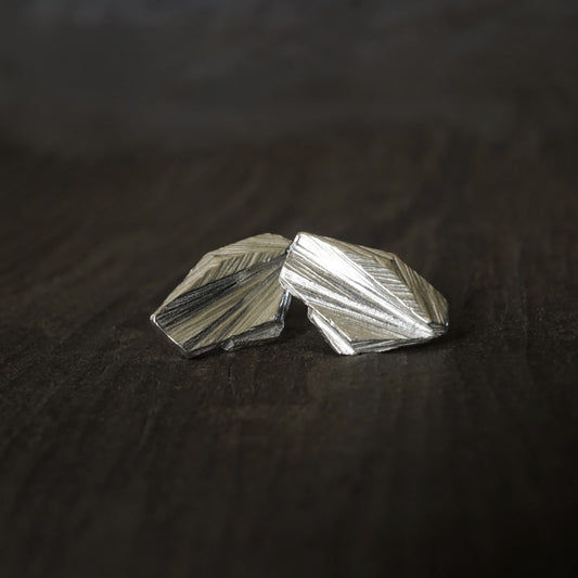 Large Grasslands Earrings