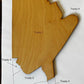 Treaty Map Puzzle Manitoba