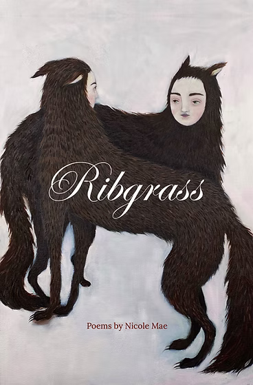 Ribgrass
