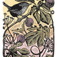 Wren & Figs Linocut Art Card by Hawk and Rose
