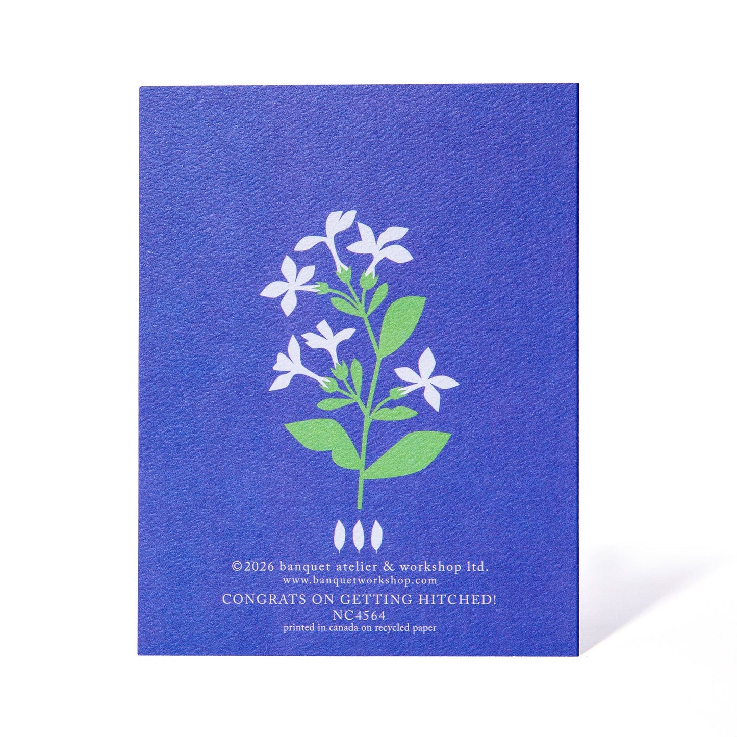 Congrats on Getting Hitched Wedding Note Card