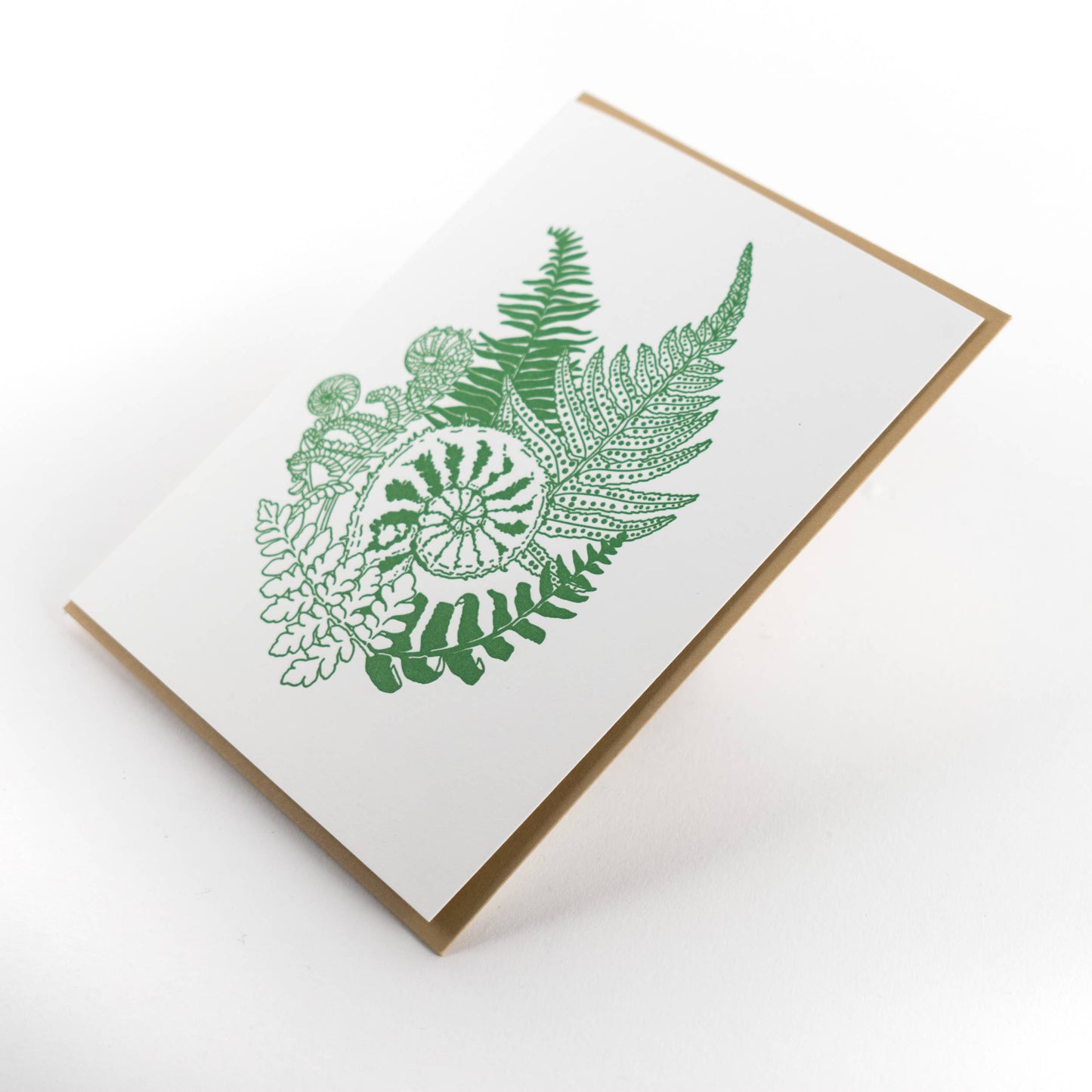 Forest Foraging Series - Fern No message: SIngle Card
