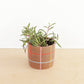 Small Ceramic Planter - Grid: Multi