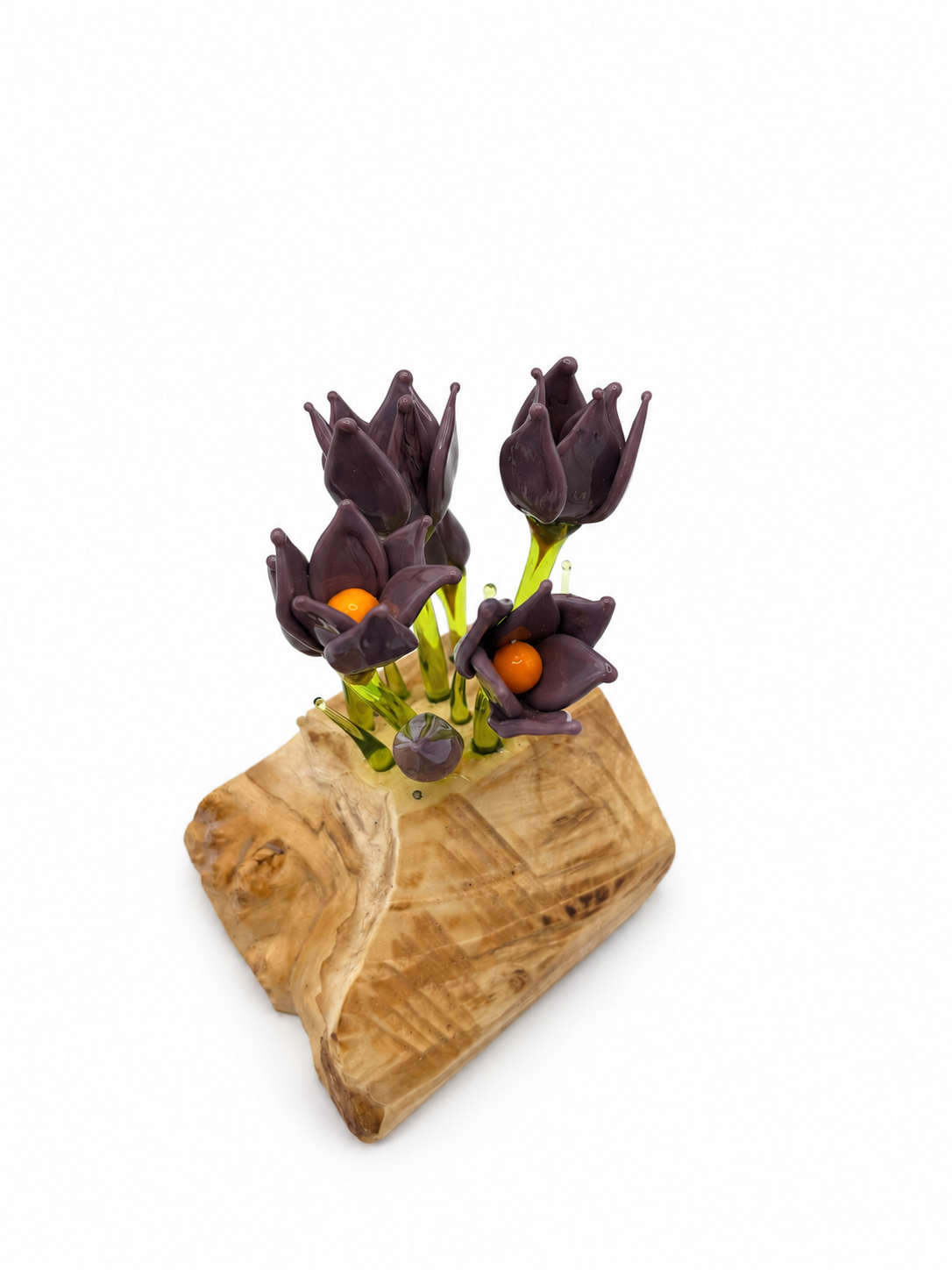 Crocus 3 flowers 1 bud