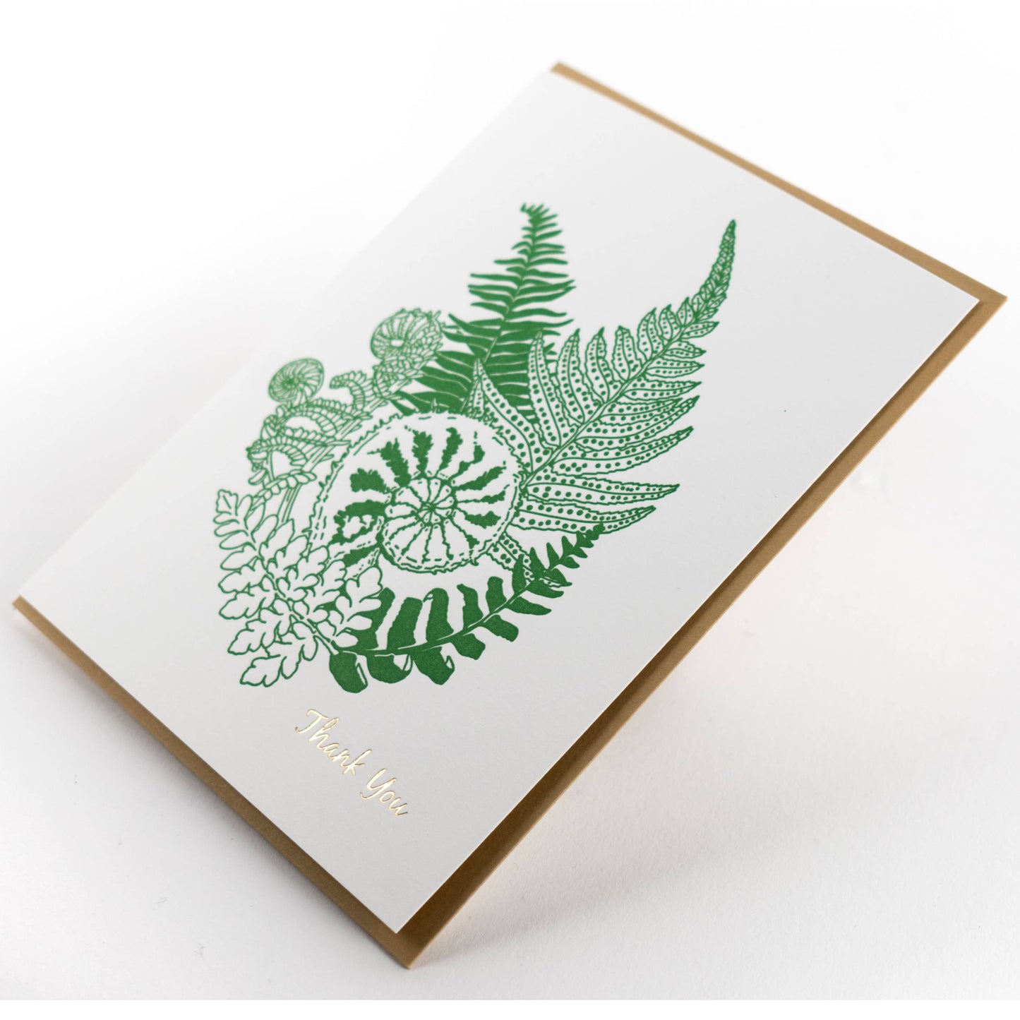 Thank you Forest Foraging Series - Fern: SIngle Card