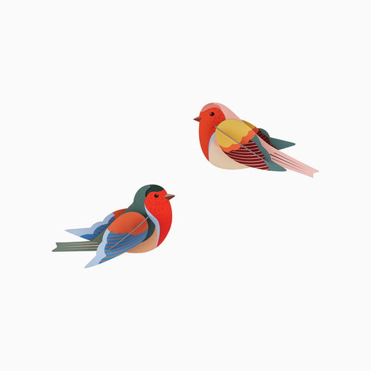 3D Wall Art - Garden Birds - Robins