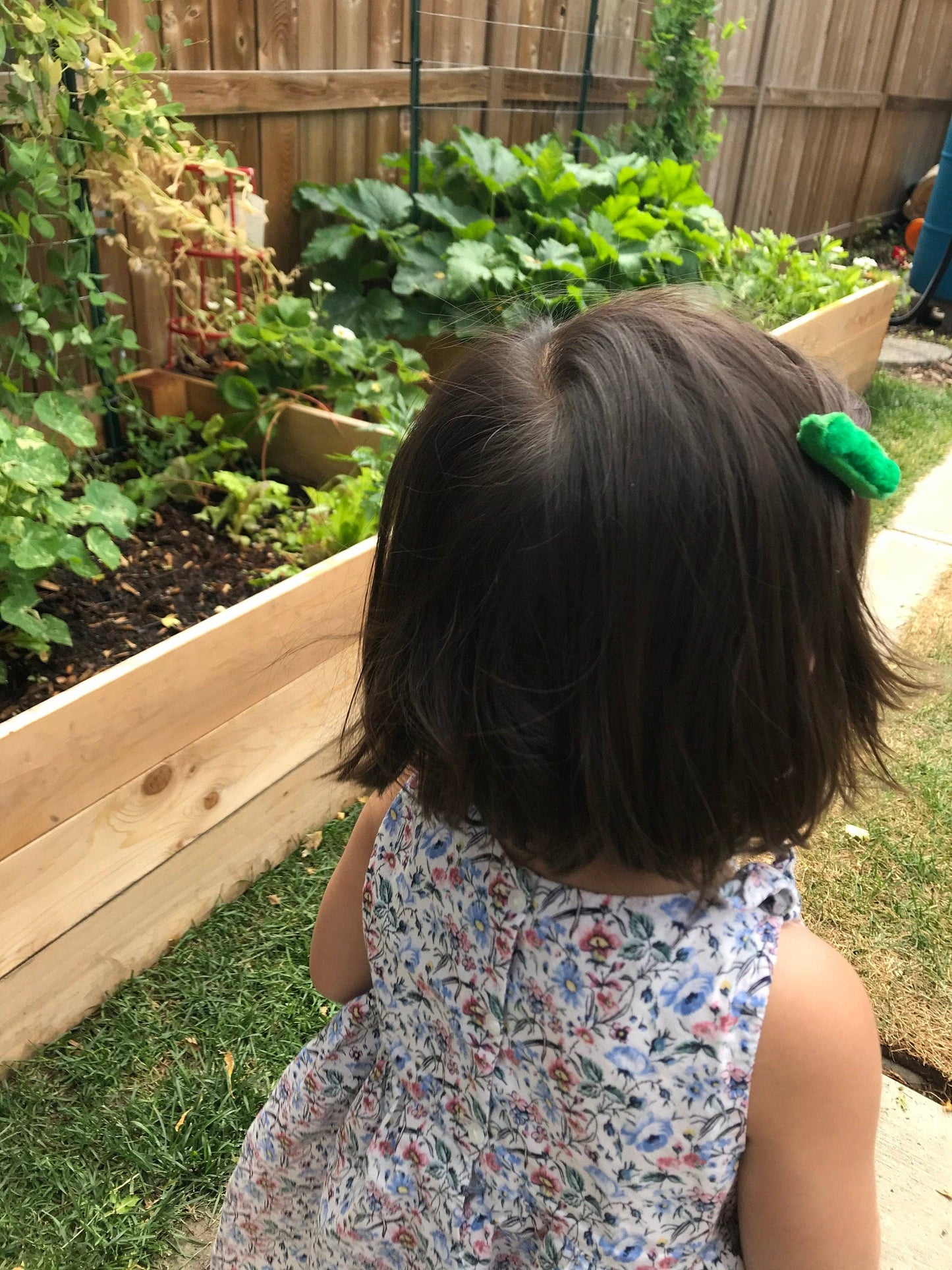 Sweet Pea Pod Green Hair Clip