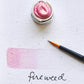 Beam Paints Paintstones